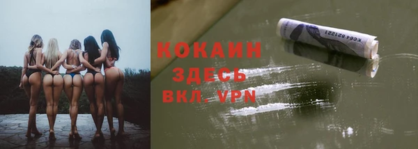прущие грибы Снежинск